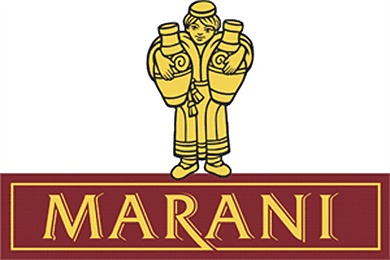 Weinberge des Weinguts Telavis Marani in Georgien